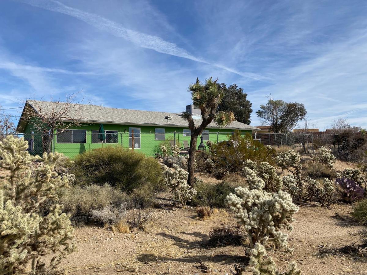 Desert Oasis - Joshua Tree Peaceful Retreat Home Yucca Valley Extérieur photo